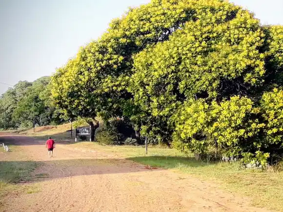 Un hombre falleció mientras hacía actividad física en San Carlos