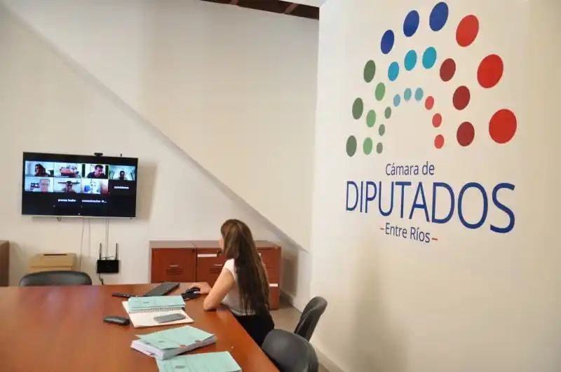 Obtuvo media sanción la exención impositiva para los servicios puerta a puerta y transportistas escolares