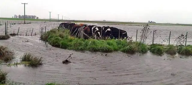Se esperan anuncios en las próximas horas sobre la emergencia agropecuaria para Entre Ríos 