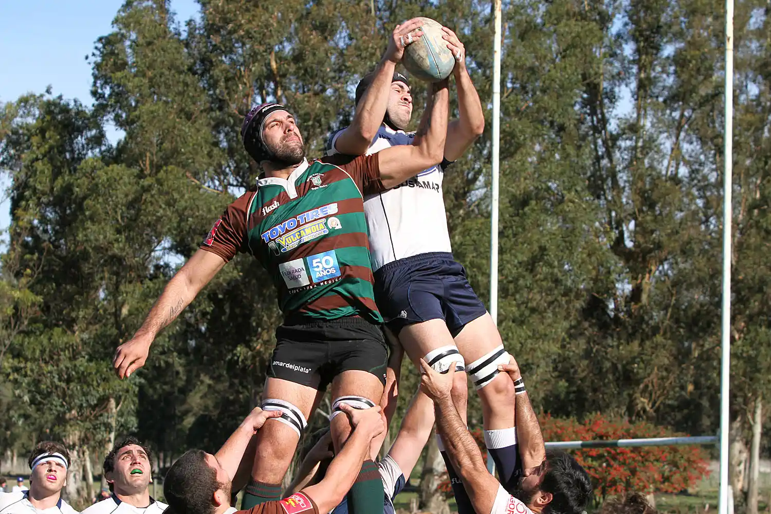 Mar del Plata Club se afirma