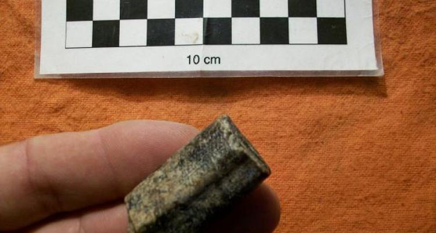 Tres hallazgos para el Museo Paleontológico