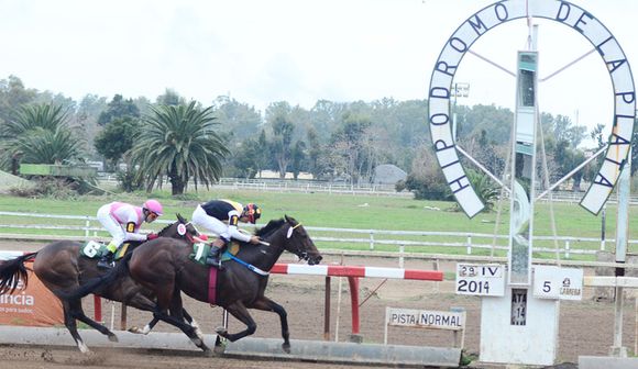 Jueves 19: Actividad Hipódromo de La Plata
