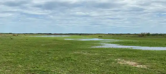 Humedales: sin espacio para la demagogia y el oportunismo