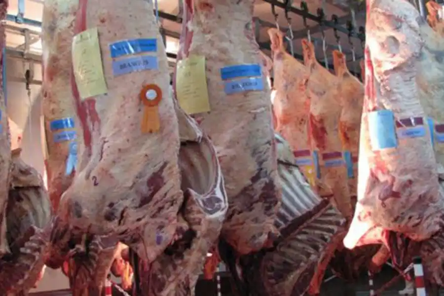 AFIP desarticuló una evasión de más de $13 millones en la exportación de carne bovina a China