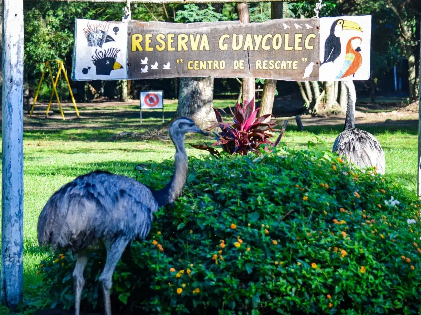 Vacaciones de invierno: cronograma de días y horarios para visitar la Reserva Guaycolec
