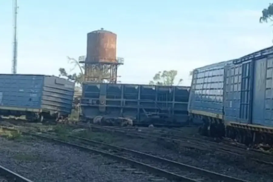 Un tren descarriló en la estación del Belgrano Cargas en el sur provincial