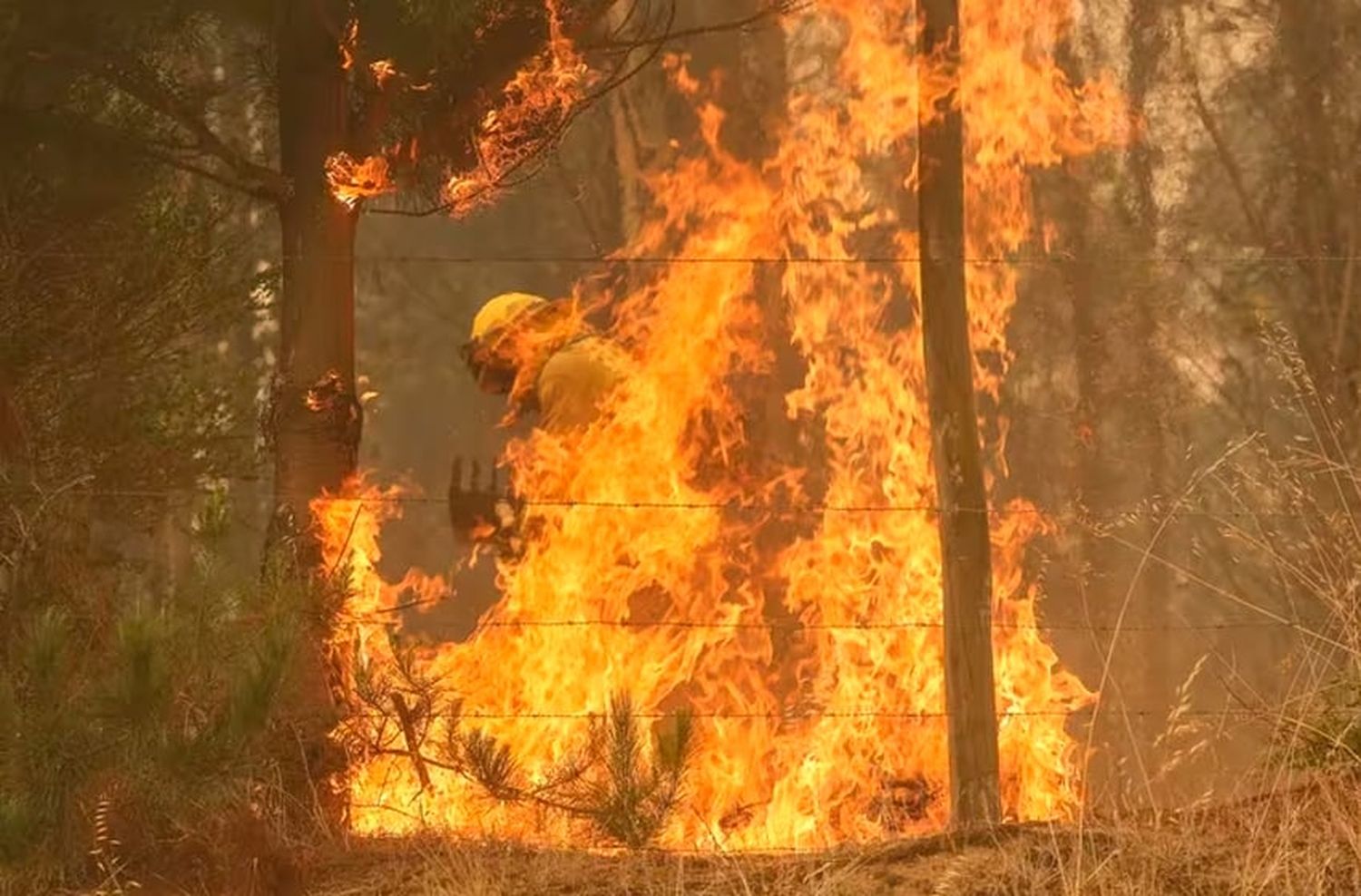 Incendios, inundaciones y aumento de los casos de dengue: estos son los estragos que provoca el fenómeno El Niño en Sudamérica