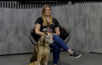 Buscan un hogar al perro que fue encontrado en el relleno sanitario