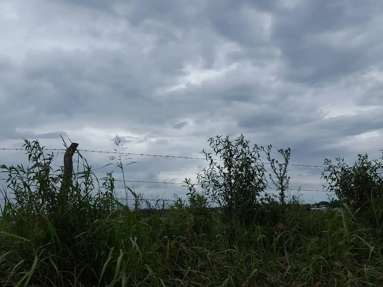 Lluvia y alerta de tormentas
