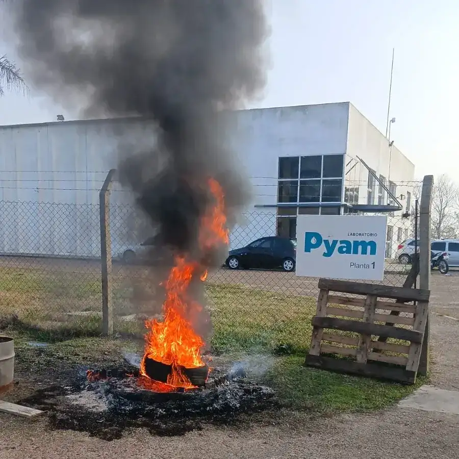 Nuevos despidos en el Parque Industrial: desvincularon a 11 trabajadores de la empresa Pyam