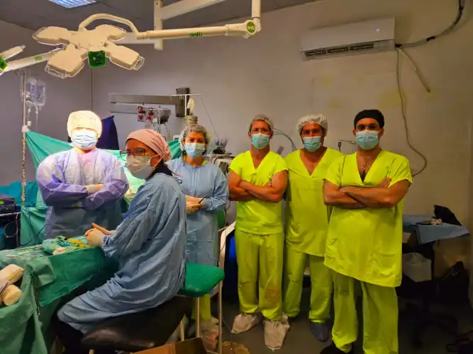 Del procedimiento en el quirófano, además de los especialistas Juan Marelli y Darío Savini, participaron la anestesióloga Marina Siri, el médico Mariano Teyssadier, la médica Julia Lembo, la instrumentadora Rebeca Scorzo y la licenciada en Enfermería Pamela Granussi.