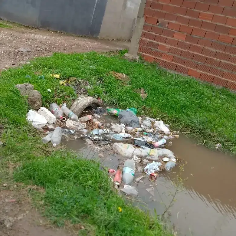 residuos en zanja de alvarado y sbert