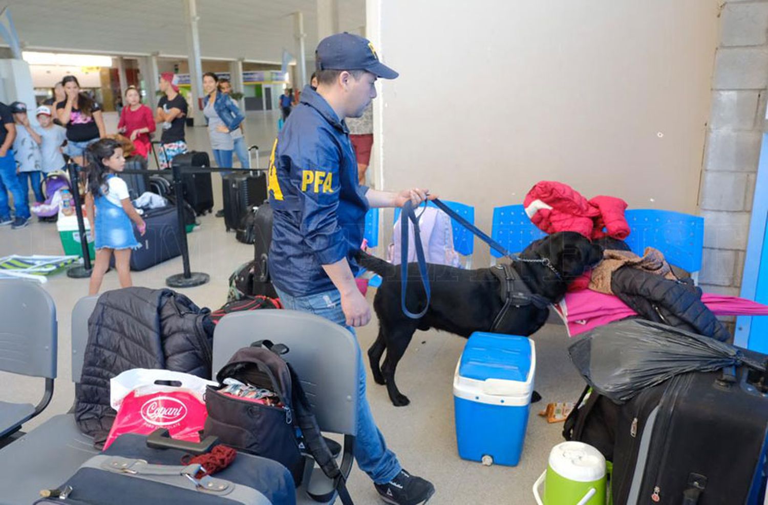 Intensifican los operativos antidroga en accesos a Mar del Plata