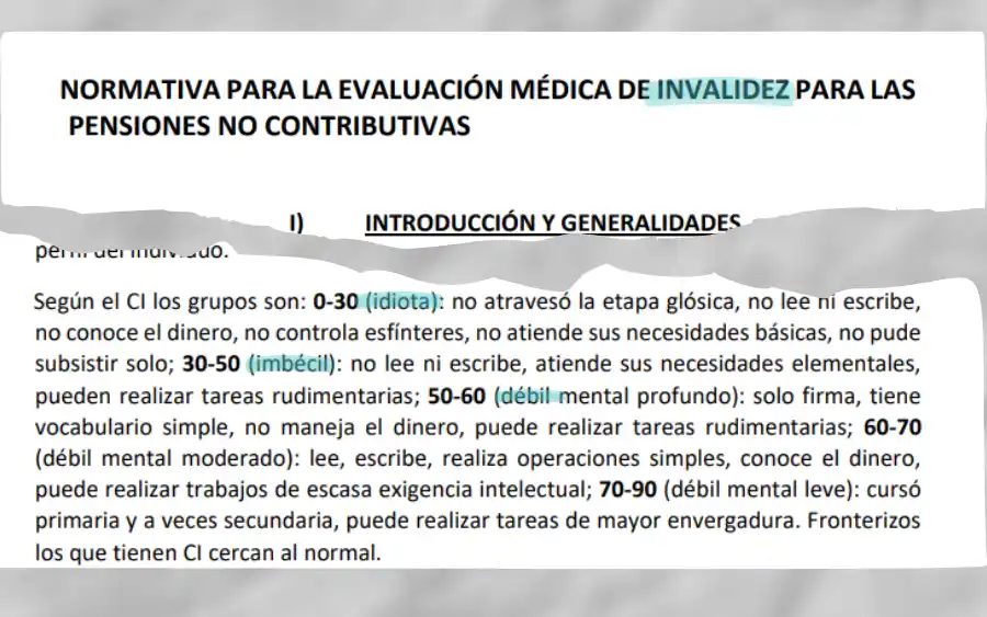 resolución ANDIS invalidez