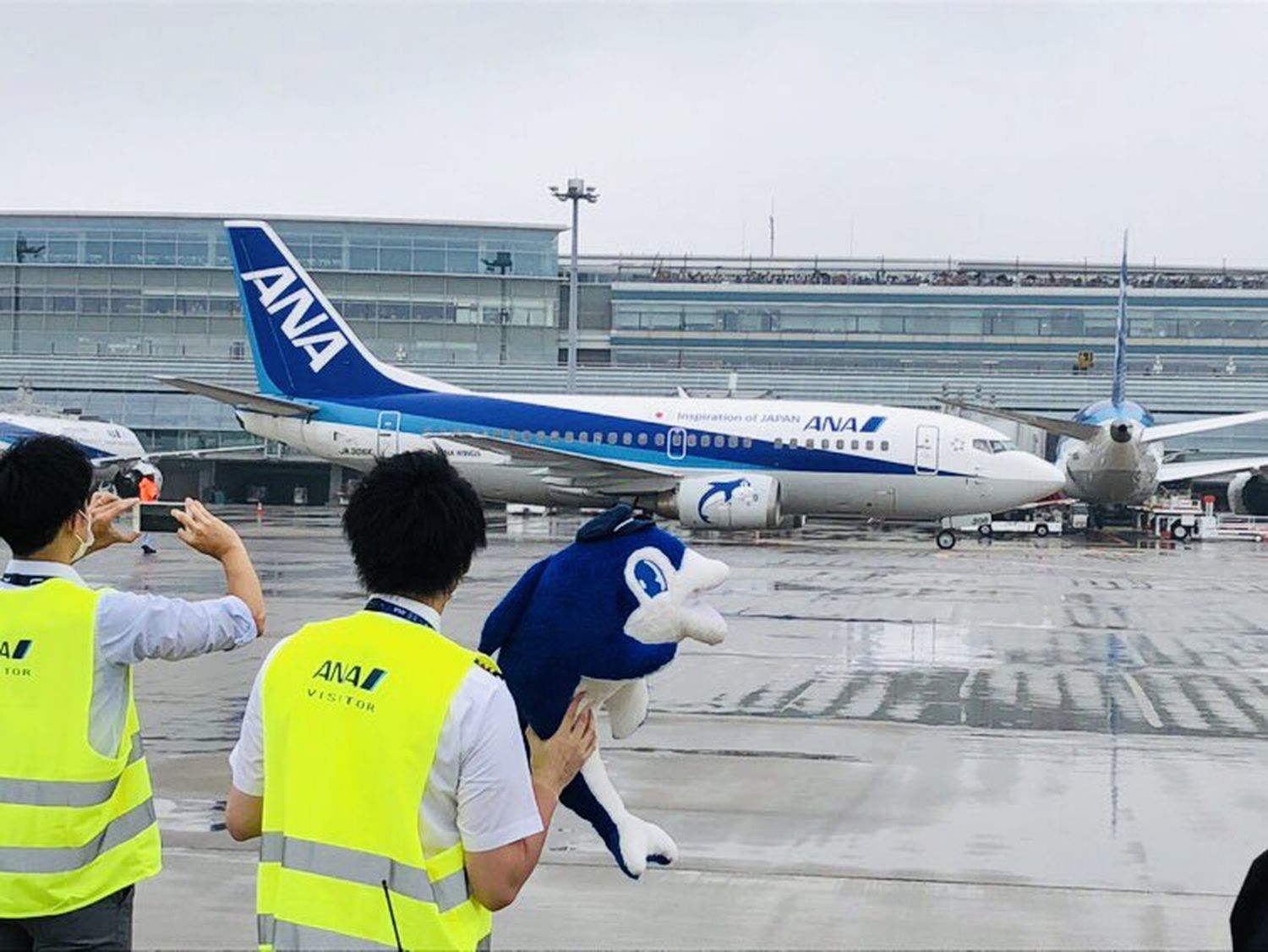 Adiós, Super Delfín: All Nippon Airways retira su último Boeing 737-500