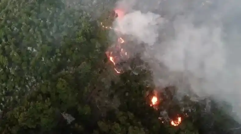 Incendio en Los Alerces: la lluvia trajo alivio, pero rige una alerta por vientos