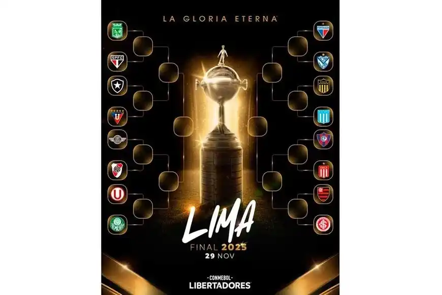 libertadores - 2