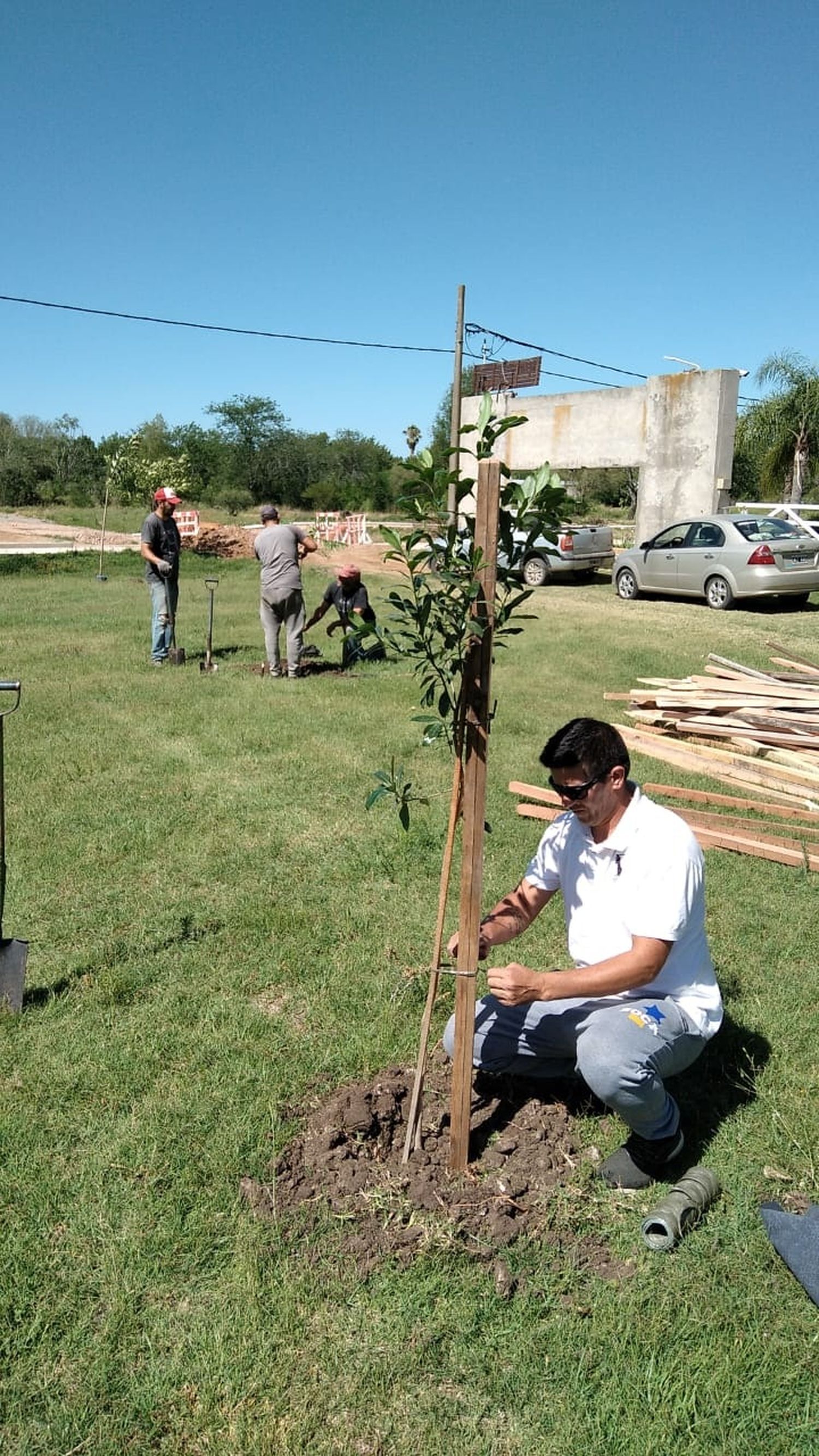 ¿Cuáles son los programas de plantación que hay en Gualeguaychú?