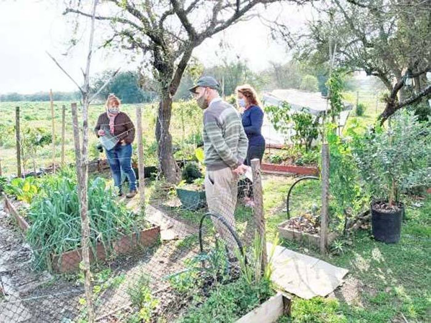 Premio al trabajo hortícola agroecológico