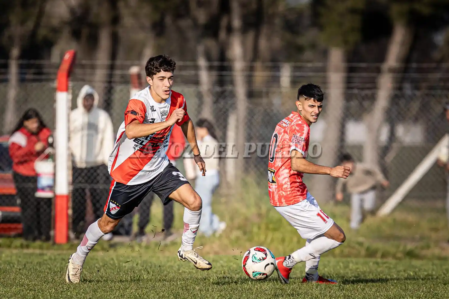Argentino-agrario - 12