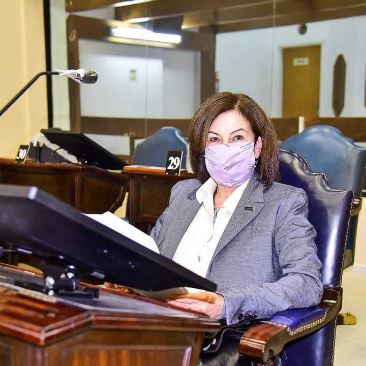 La diputada Batista detalló los proyectos aprobados en la Legislatura