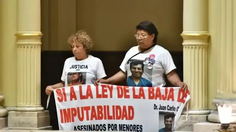 El Gobierno promulgó el nuevo Régimen Penal Juvenil y bajó la edad de imputabilidad a 14 años