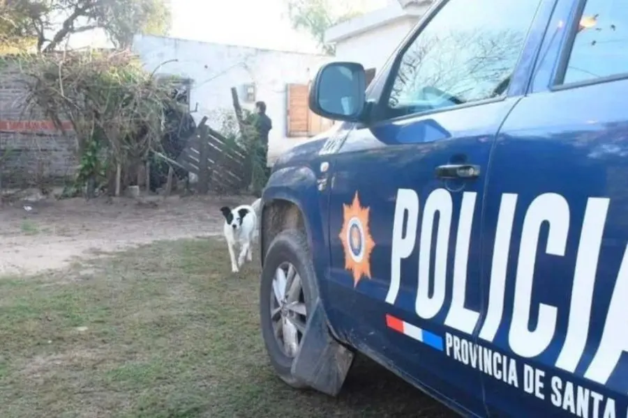 Terrible caso de crueldad animal en la región: un hombre fue detenido por golpear salvajemente a sus perros y matarlos