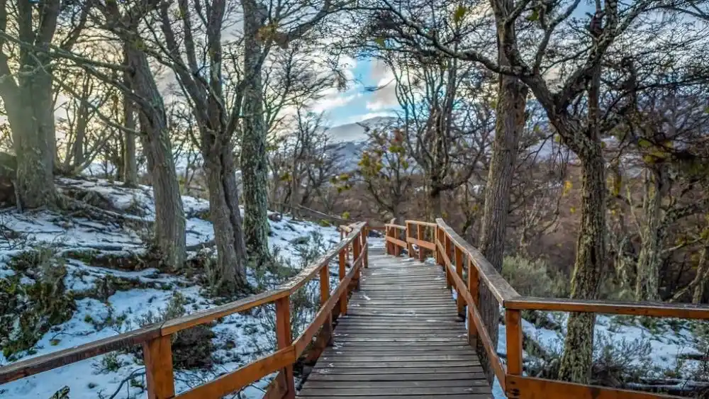 Vacaciones en la nieve