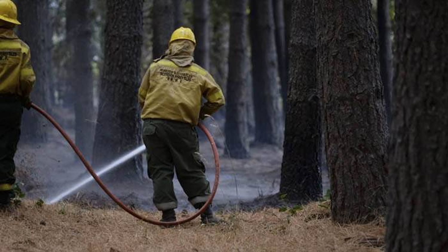 Brigadistas continúan combatiendo incendios forestales en Río Negro y Chubut