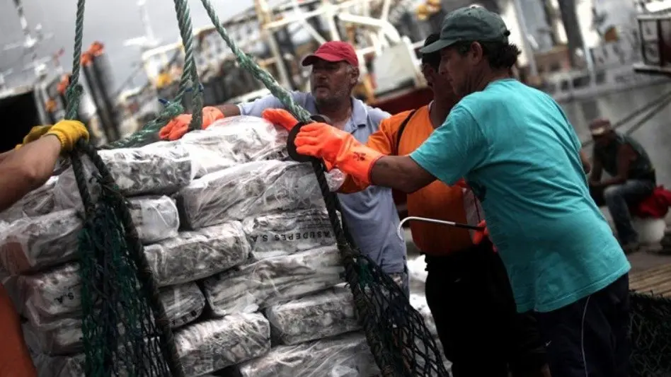 Estibadores reclaman la falta de trabajo por la temporada de langostino: "No podemos quedarnos de brazos cruzados"