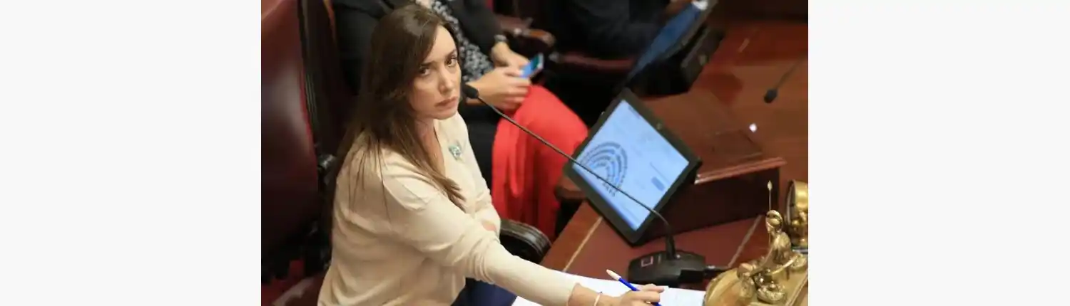 También se refirió al programa de literatura que contiene libros con escenas sexuales explícitas que se distribuyen en los colegios de la provincia de Buenos Aires.