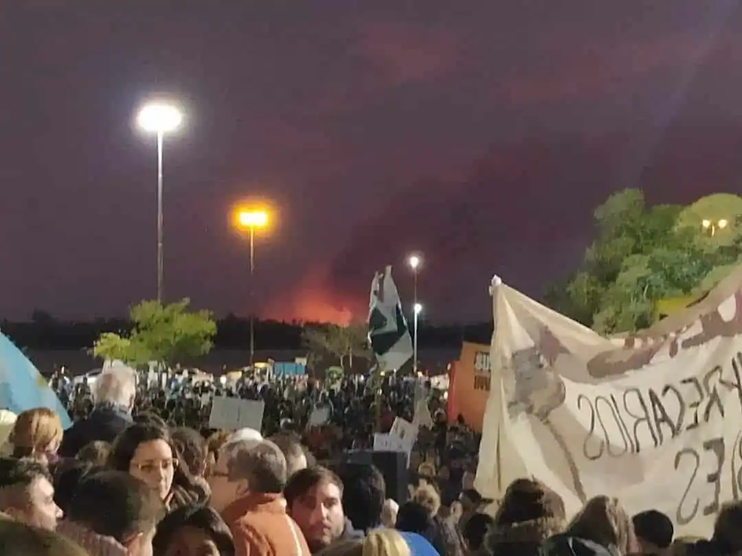 Ambientalistas marcharon en el Puente Rosario Victoria en pedido de la Ley de Humedales