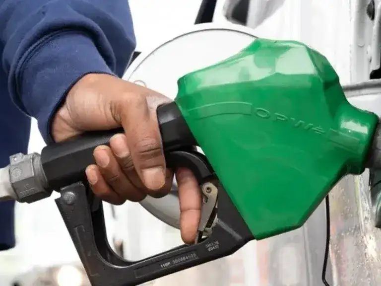 Nuevos subsidios al combustible en Francia
