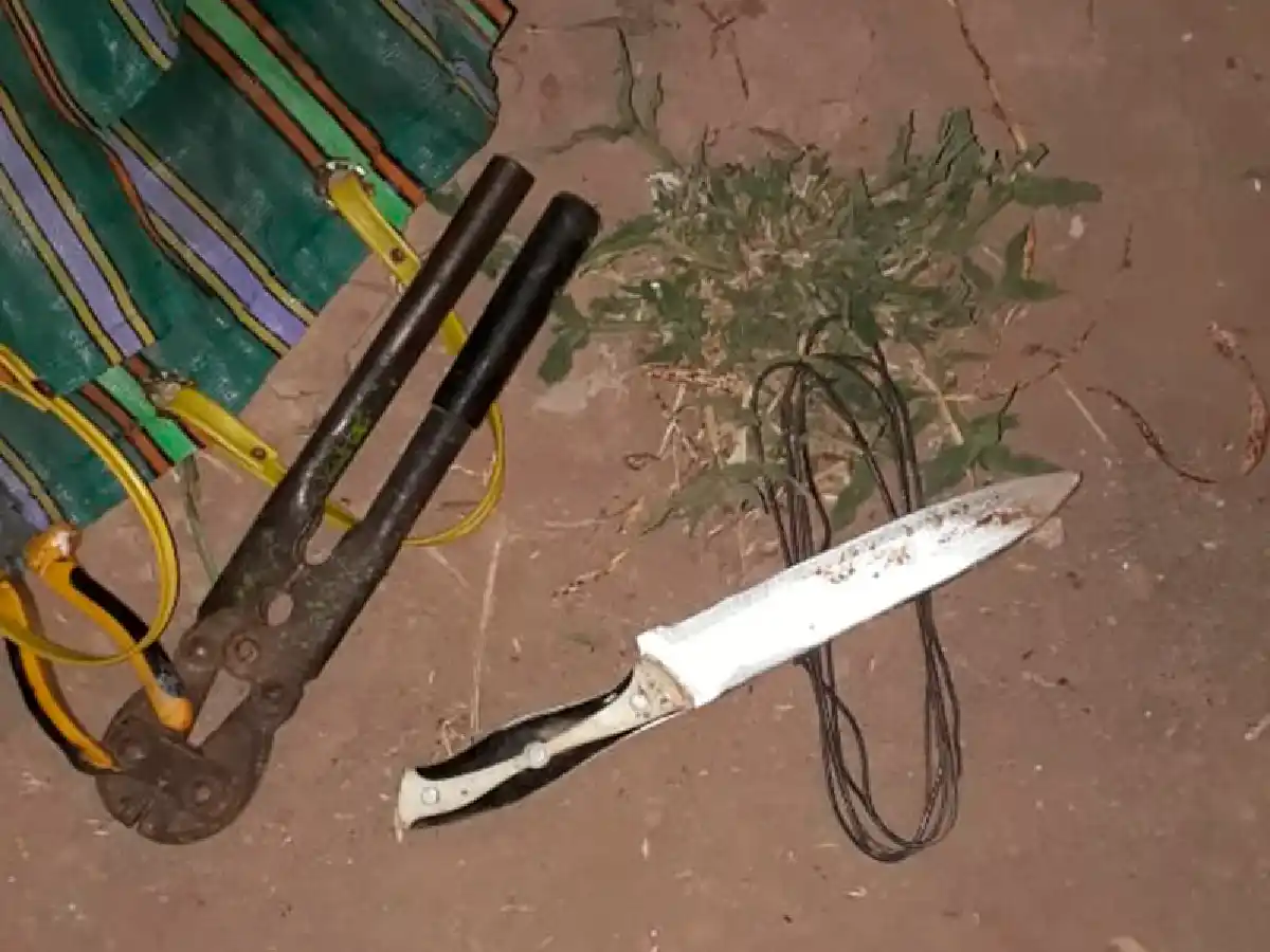 En bicis, arriaban una vaca que habían robado en campo de un productor de Josefina