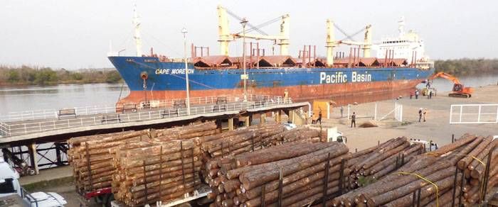 Entre Ríos exportará madera a granel a la India y tablas a China