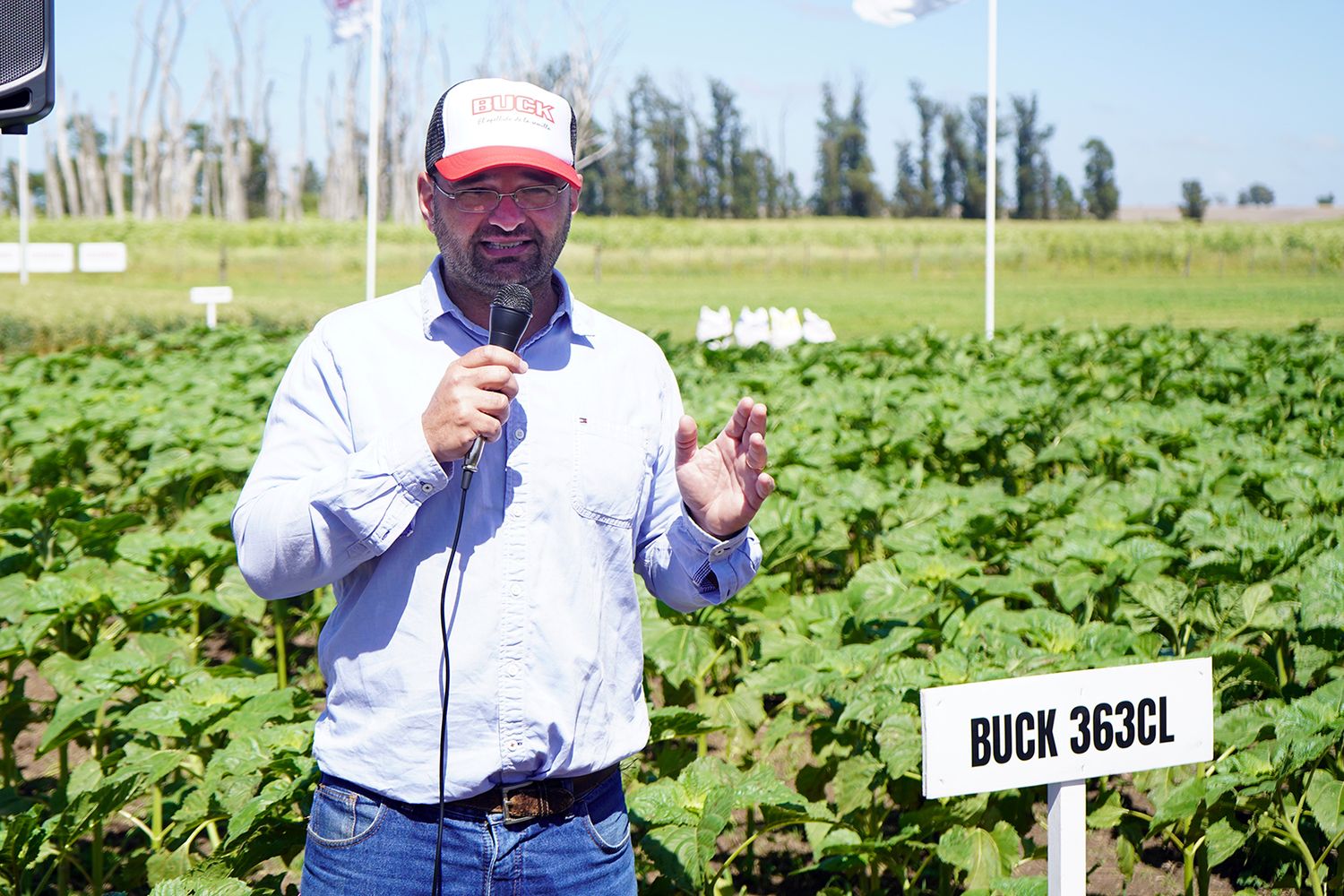 Buck semillas presentó sus nuevas variedades y avances en un tradicional Día de Campo