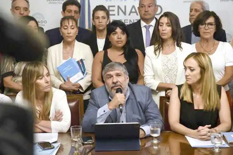Senadores de UP piden la interpelación de ministra Pettovello