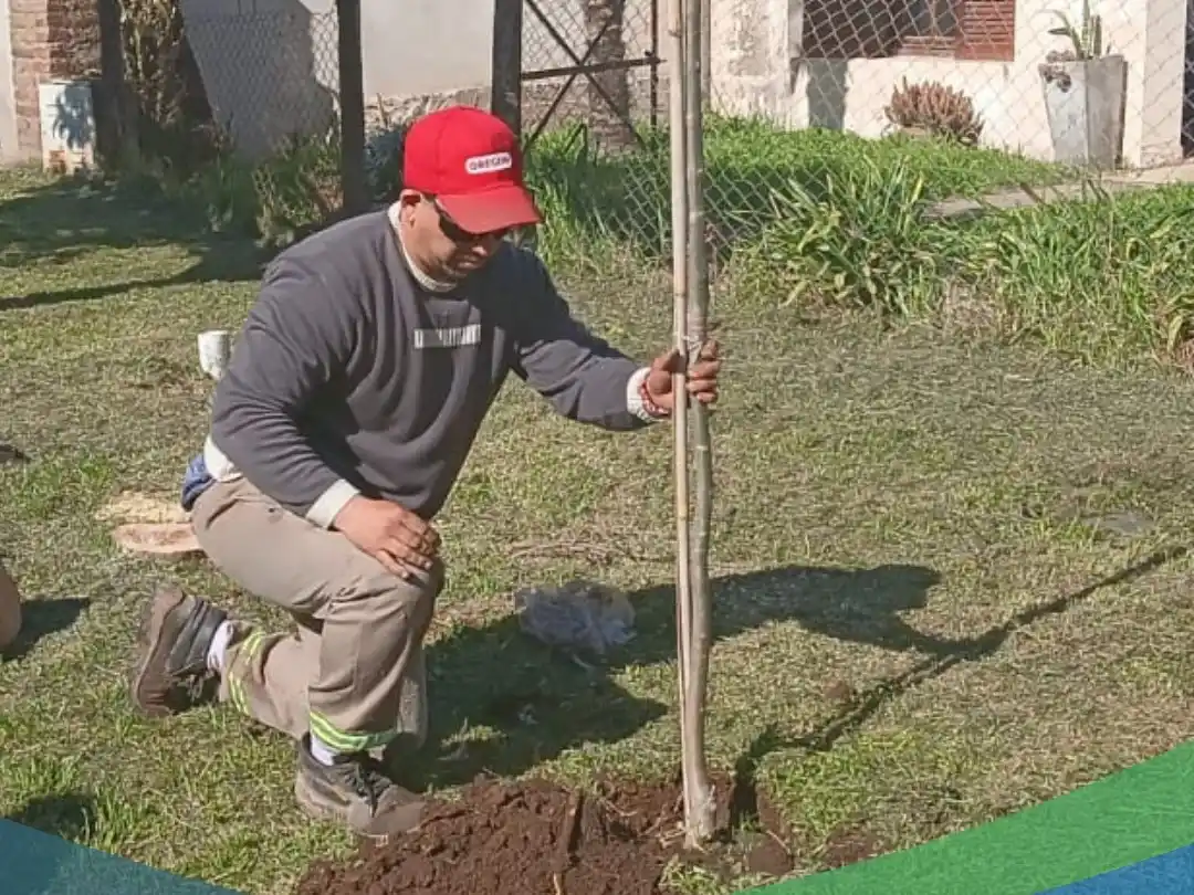 La campaña de plantación continúa durante septiembre.