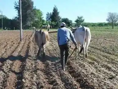 Explican la importancia de por qué no realizar
la venta privada de predios rurales fiscales