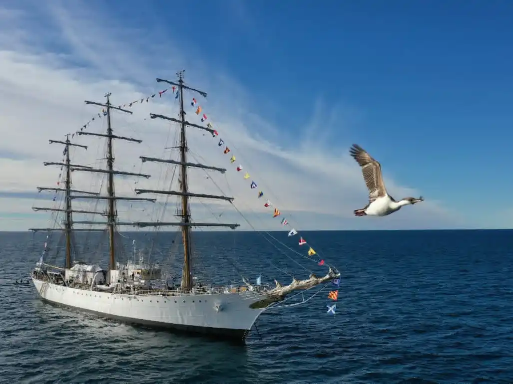 La fragata ARA “Libertad” despliega sus velas y parte desde Buenos Aires, iniciando una nueva travesía de formación y representación argentina en el mundo. Foto: Armada Argentina