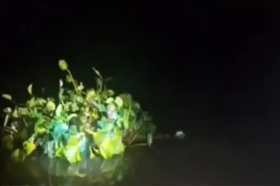 Se disfrazó de camalote para contrabandear cigarrillos valorados en 2.200.000 pesos