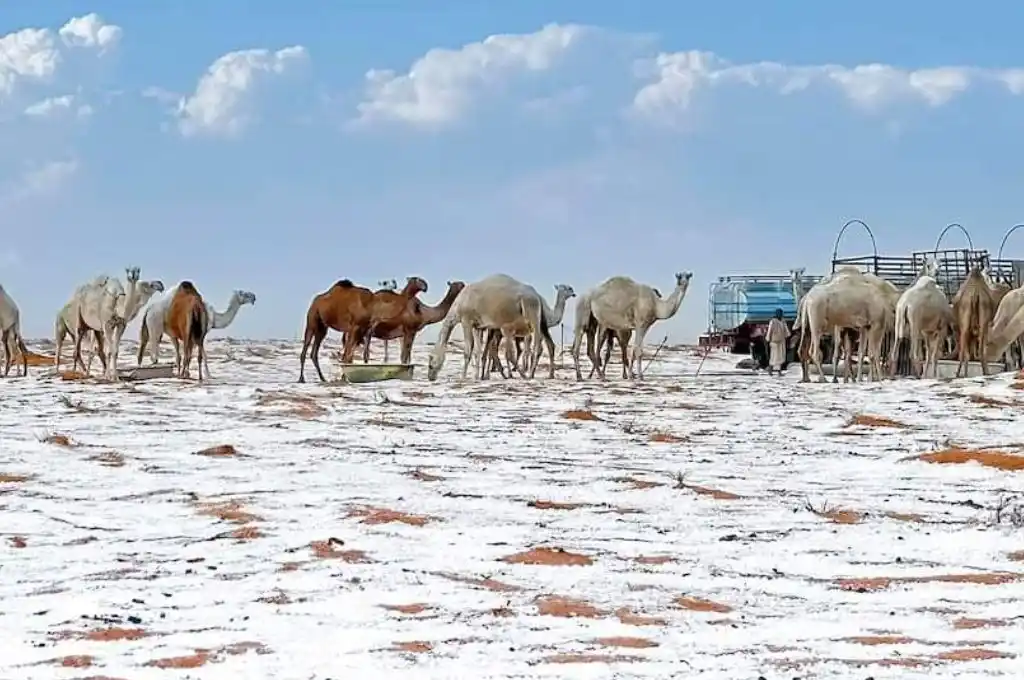 Nieve en el desierto de Sahara