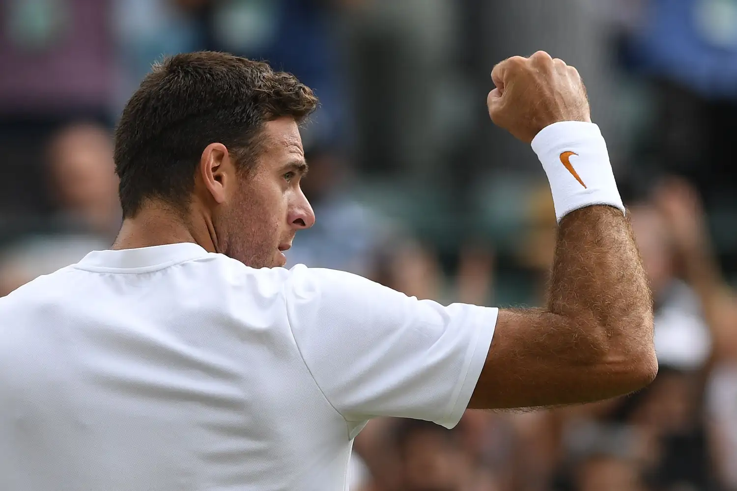 Del Potro, con buena perspectiva hacia Londres