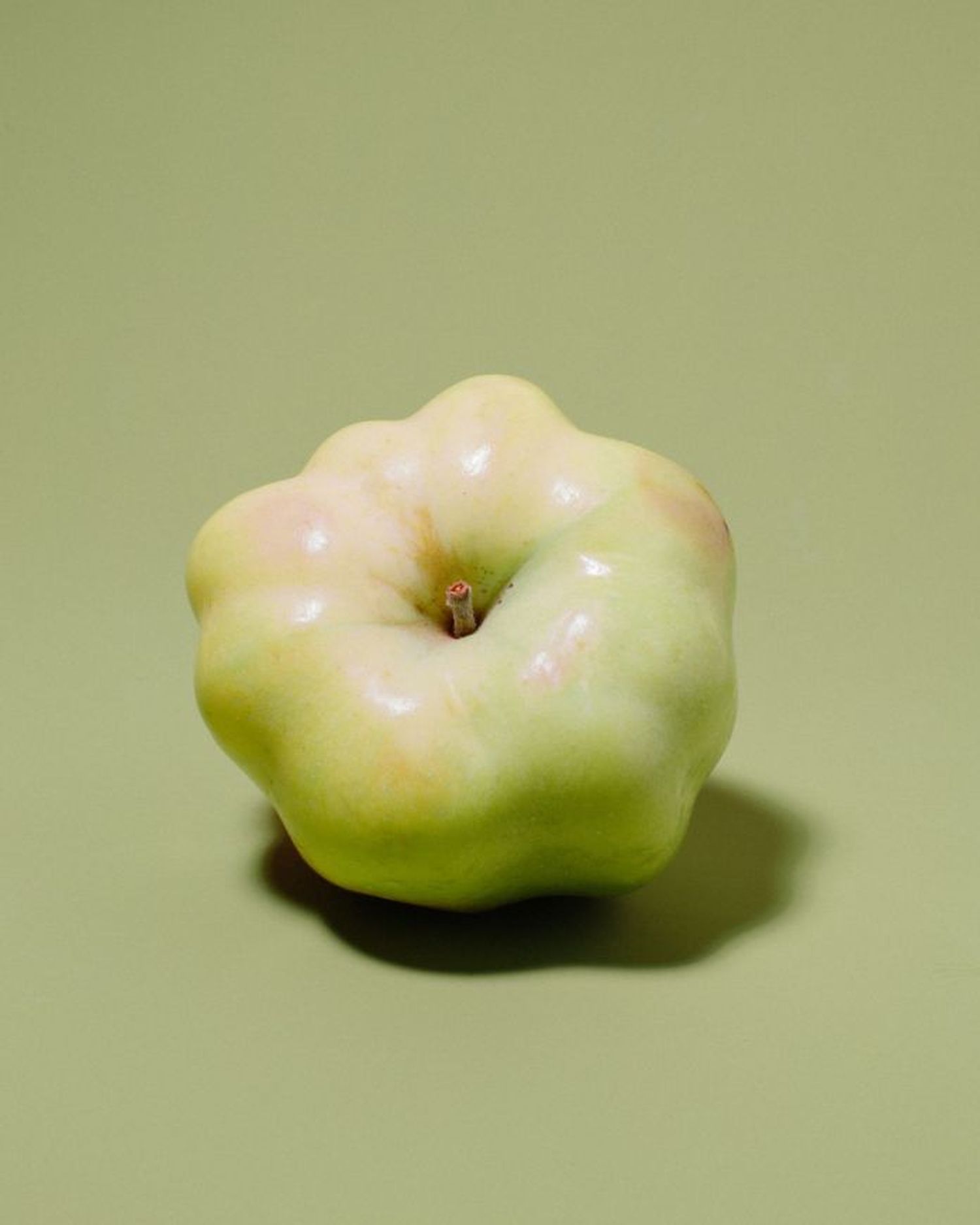 diferentes manzanas
