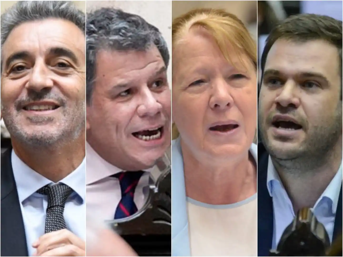 Randazzo, Manes, Stolbizer y López