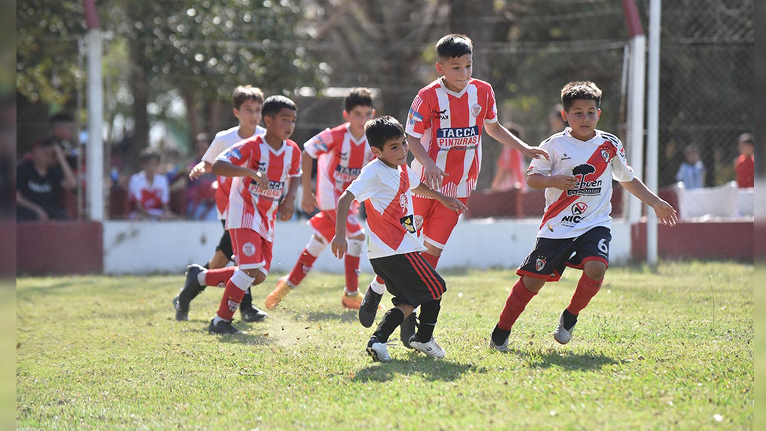 Domingo de Baby Fútbol