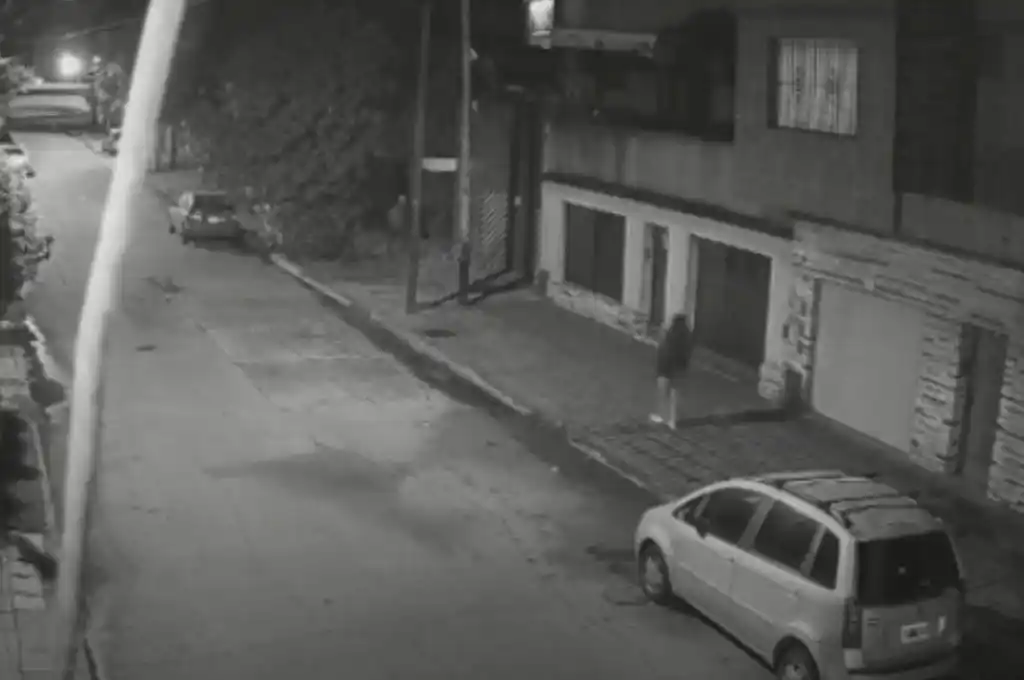 Captura de pantalla tomada del video