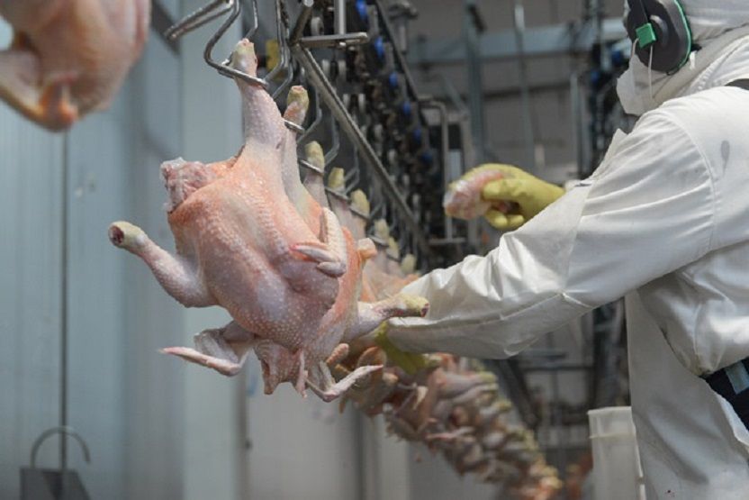 China reabre su mercado a los productos avícolas argentinos: una noticia clave para Entre Ríos