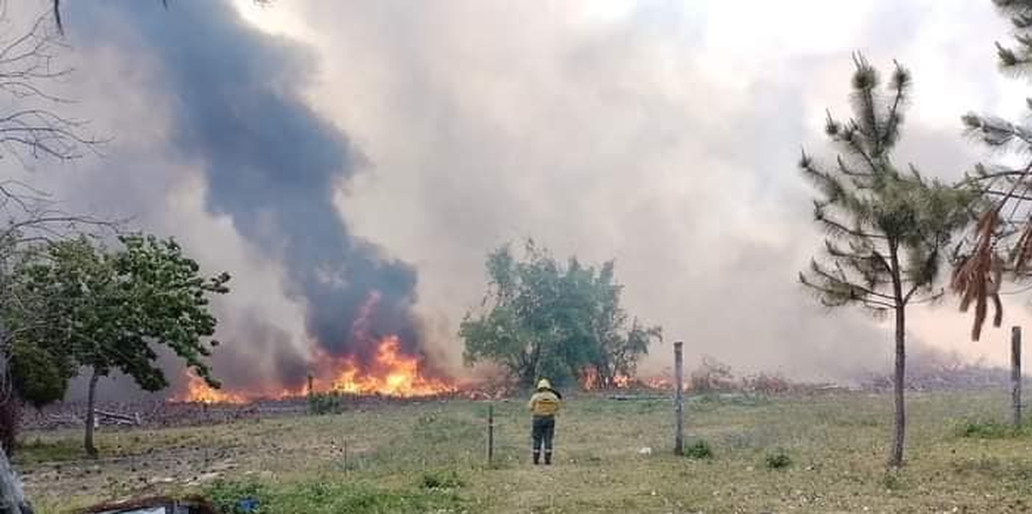 Bomberos de la región debieron socorrer dos grandes incendios forestales en Concordia