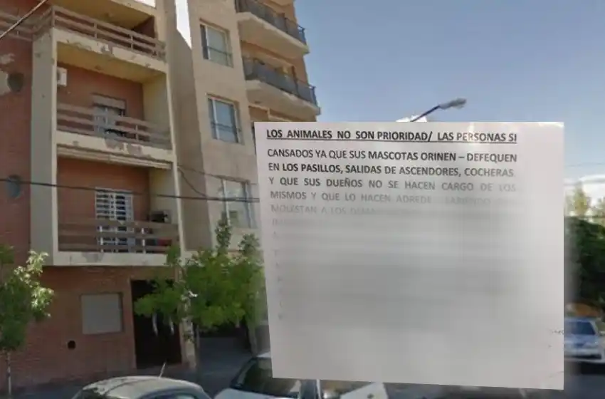 Consorcio envenenó a las mascotas de un edificio: «Se harán cargo ustedes si les pasa algo»